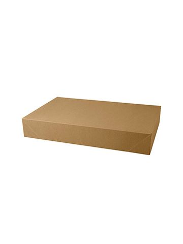 Kraft Apparel Boxes, 19" x 12" x 3"