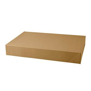 Kraft Apparel Boxes, 17" x 11" x 2-1/2"